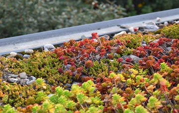 the cost of Lords Hill green roof installation