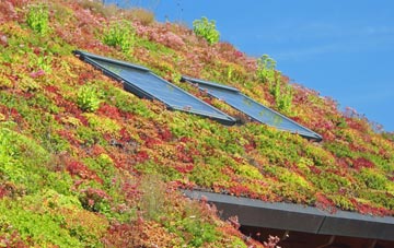 Lords Hill living roof systems
